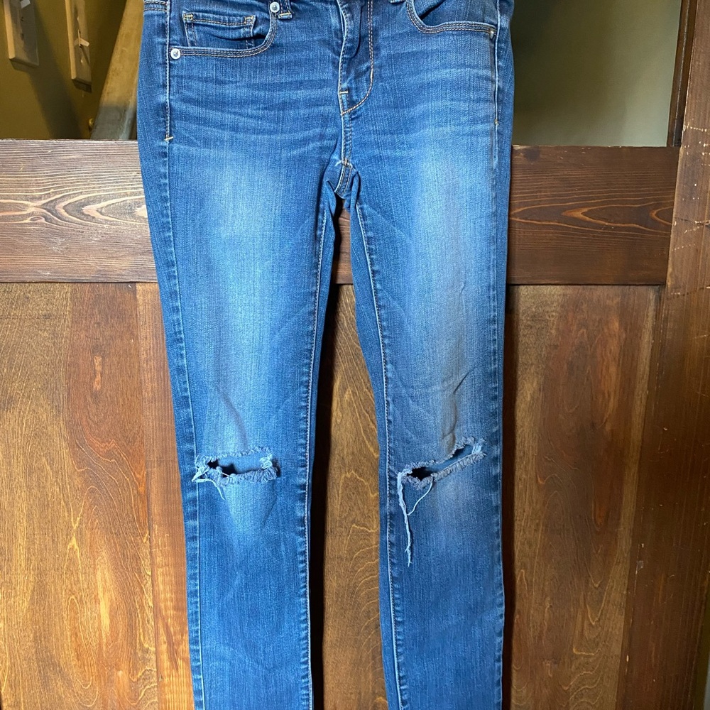 AMERICAN EAGLE Size 2 Skinny Blue Distressed Jeans
